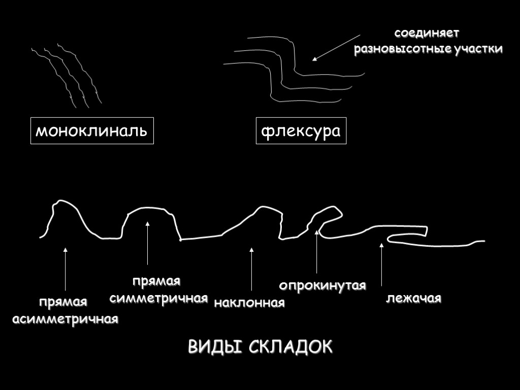 моноклиналь флексура соединяет разновысотные участки прямая асимметричная прямая симметричная наклонная опрокинутая лежачая ВИДЫ СКЛАДОК